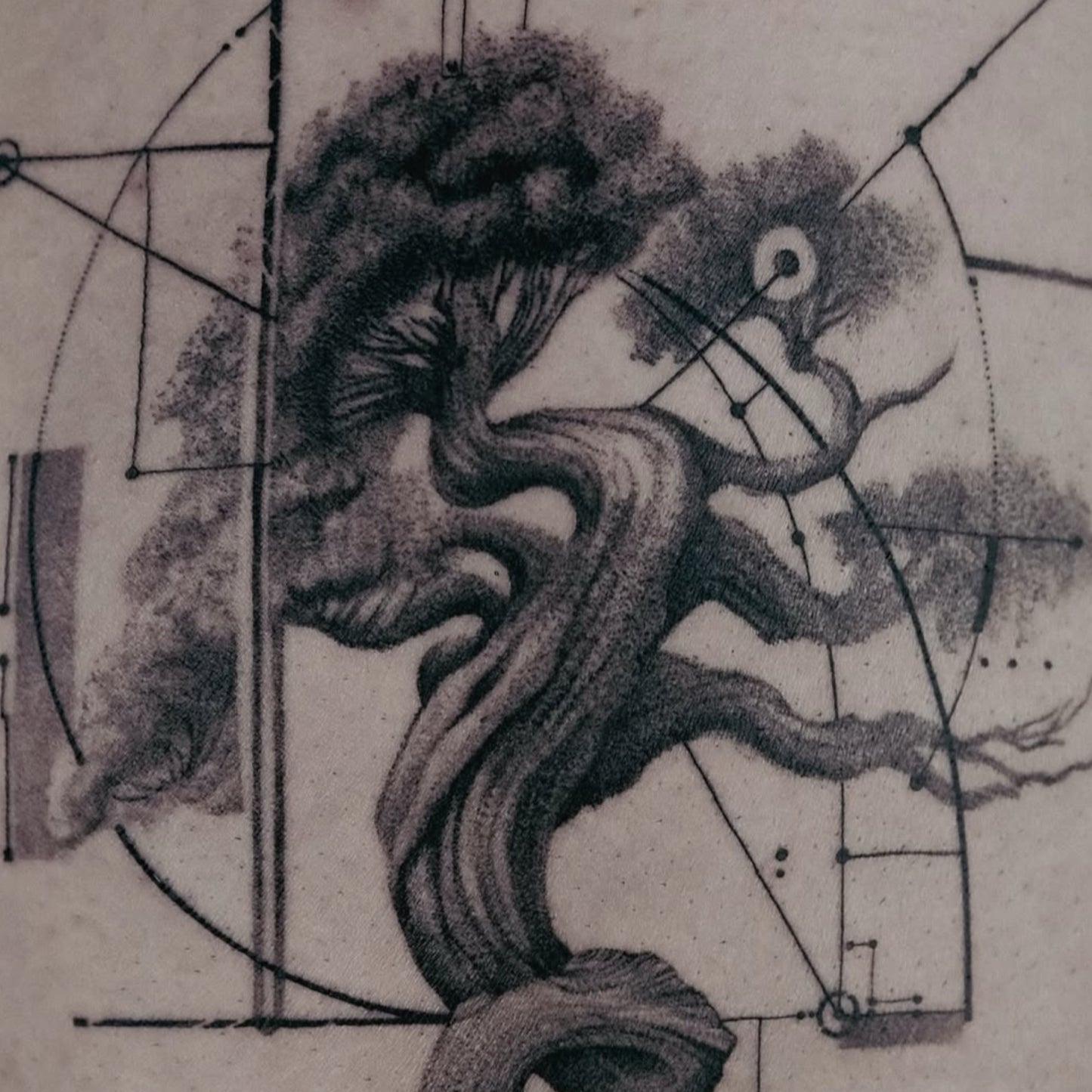 Kwadron-OPTIMA ラウンドシェイダー 30/3RSLT