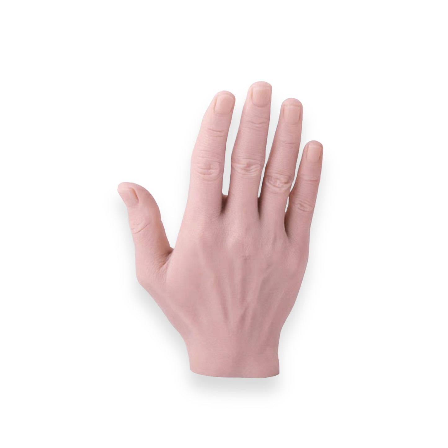 練習用スキン ハンド(男性)